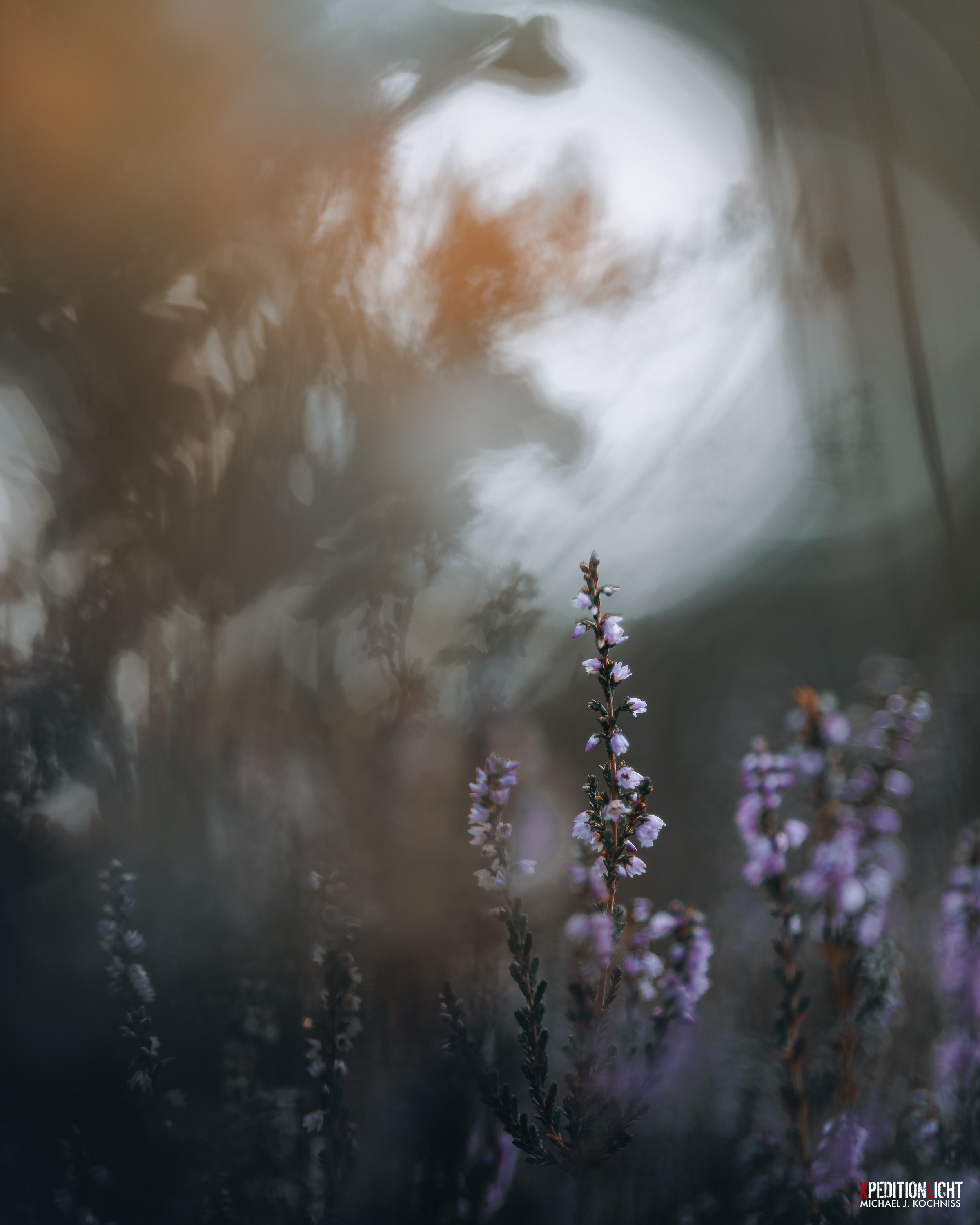 SPÄTSOMMER-STIMMUNG