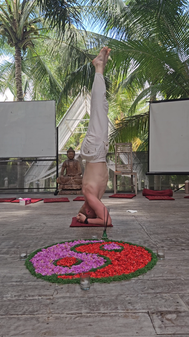 Cedric Bierbrauer Diaz hält sein Yogalehrer-Zertifikat von House of Om hoch.