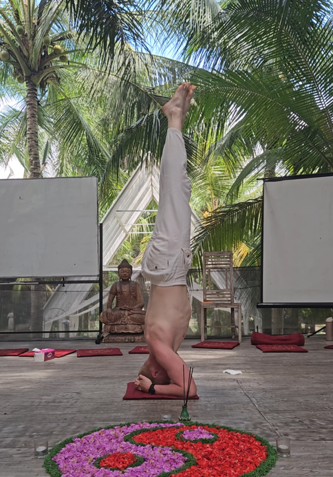 Cedric Bierbrauer Diaz hält sein Yogalehrer-Zertifikat von House of Om hoch. Cedric Bierbrauer Diaz hält sein Yogalehrer-Zertifikat von House of Om hoch.