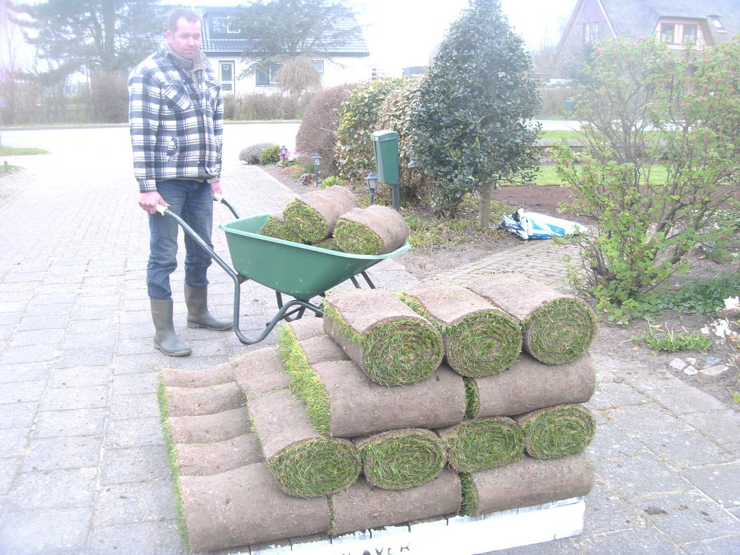 grasrollen bestellen texel grasrollen bestellen texel