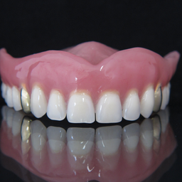Prothesen-6