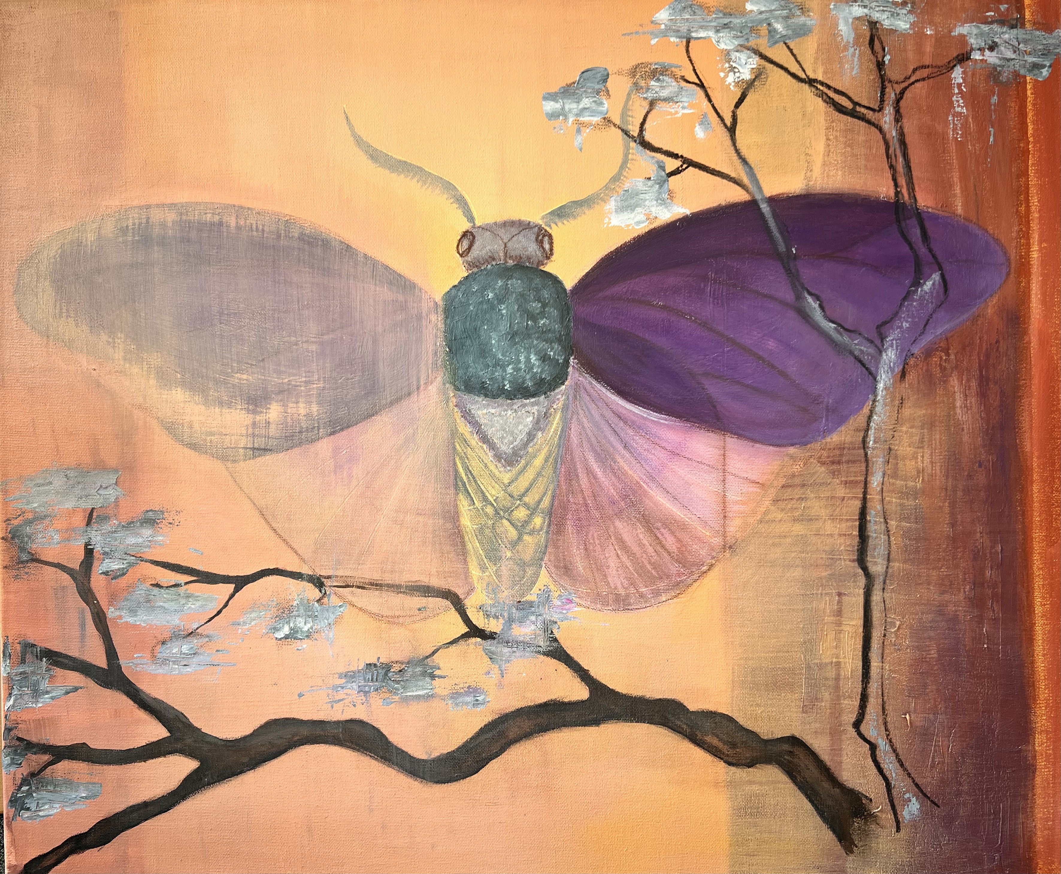 Asian moth -canvas 70/50 cm