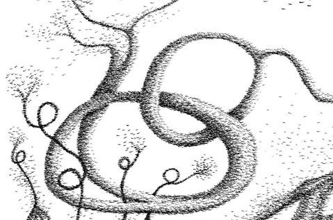 Birds & Branches #2 (detail)