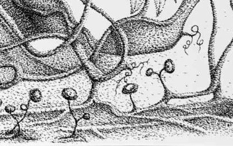Garden #1 (detail)
