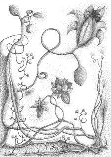 Metamorphosis #3