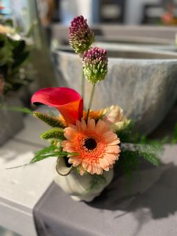 IMG_2594