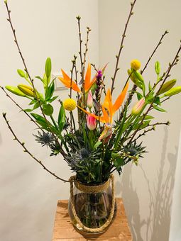 IMG_3509