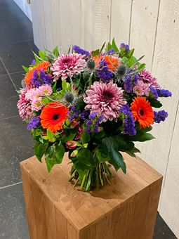 IMG_3646