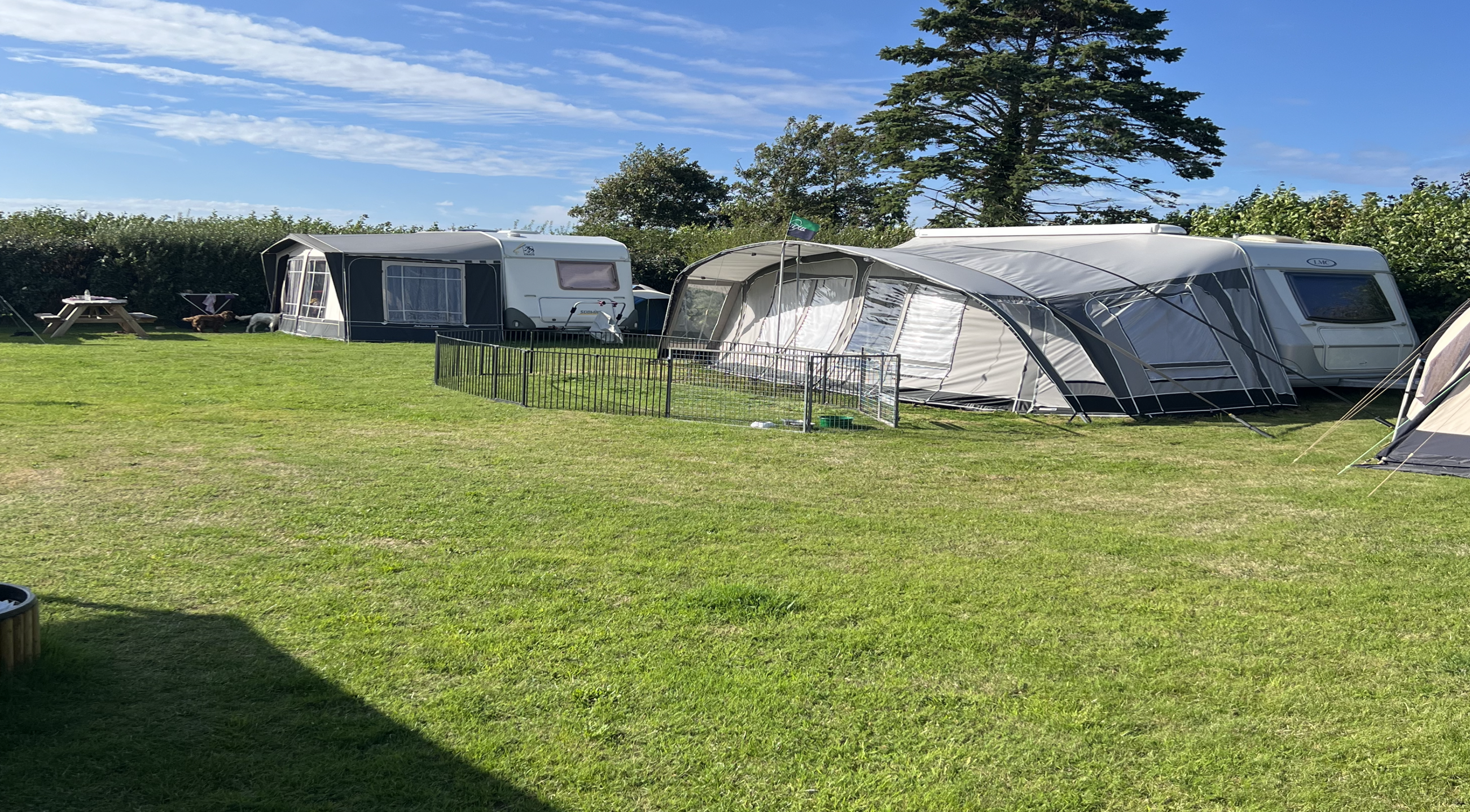 Rhoon Boerencamping — photo 5