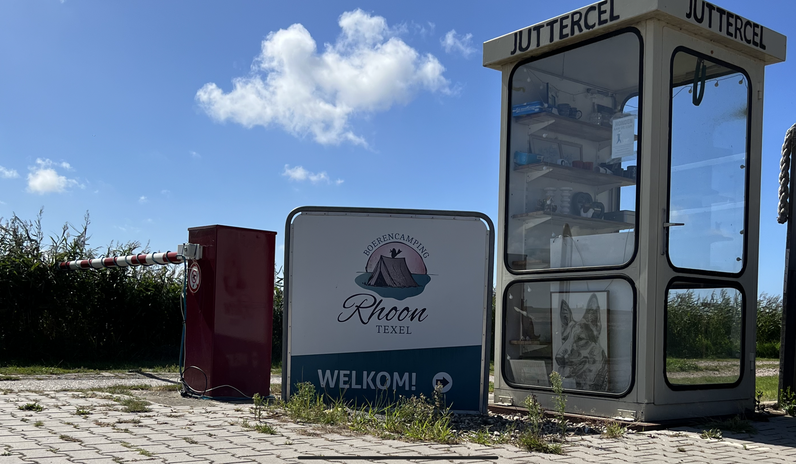 Rhoon Boerencamping — photo 4