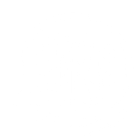 Logo Bronzwaer Coaching voor jongeren, jongvolwassenen, studenten, BusinessCoach én NOBCO-Coach