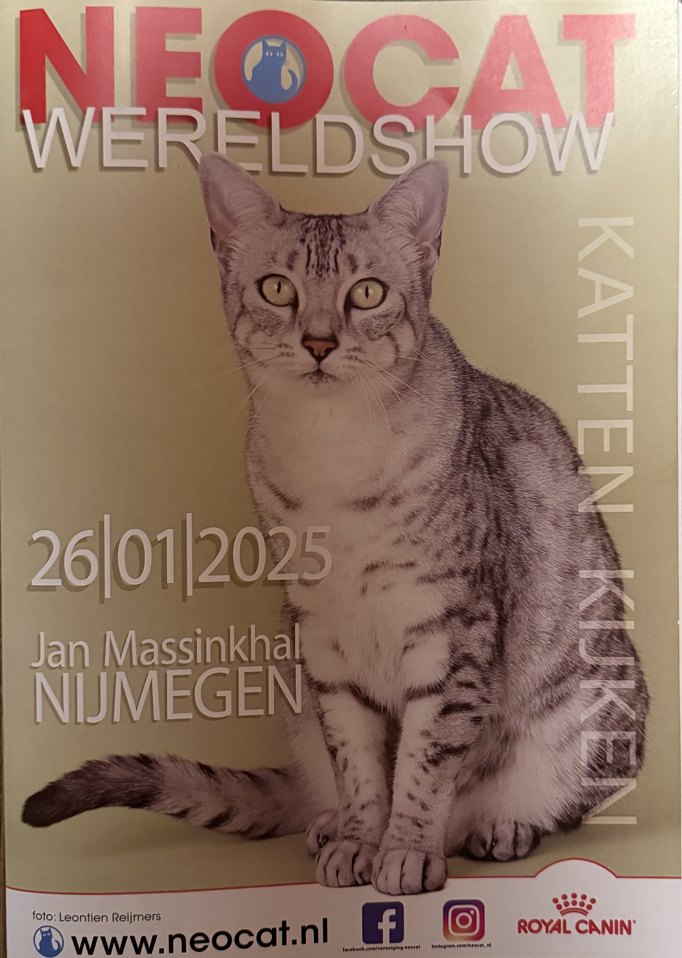 Neocat Wereldshow 26-01-2025 | Cattery Kattenhartjes