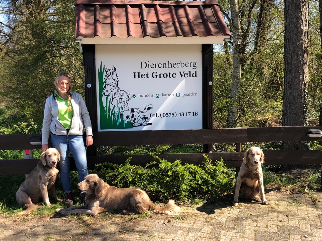 Dierenherberg Het Grote Veld