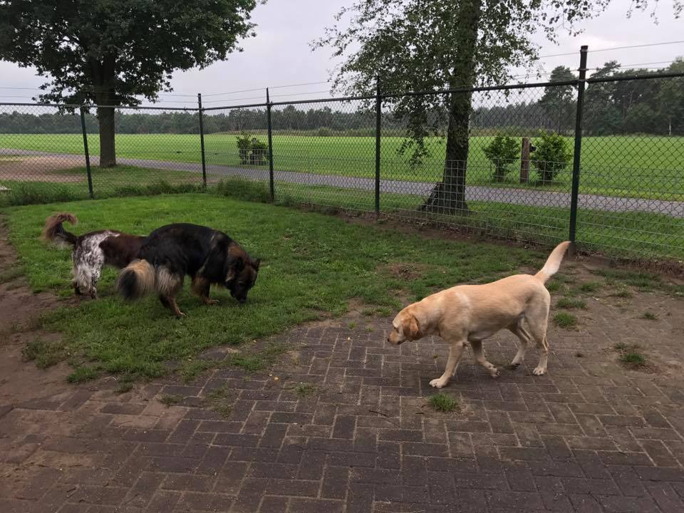 Dierenherberg Het Grote Veld