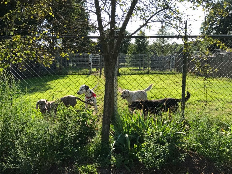 Dierenherberg Het Grote Veld