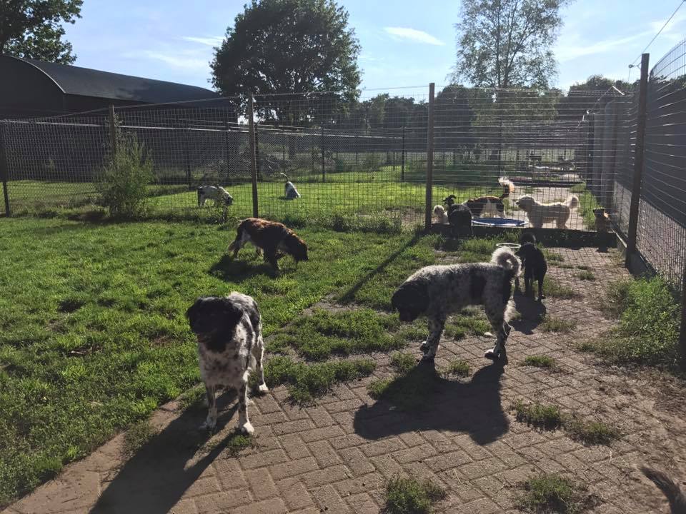 Dierenherberg Het Grote Veld