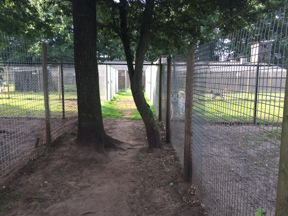 Dierenherberg Het Grote Veld