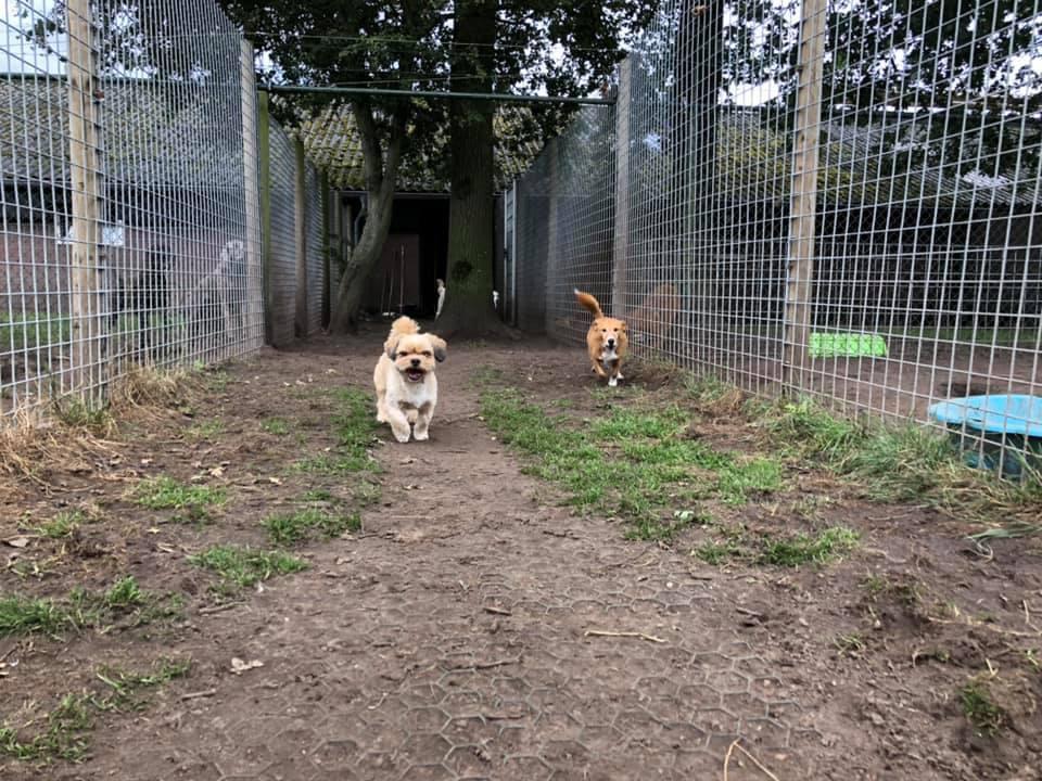 Dierenherberg Het Grote Veld