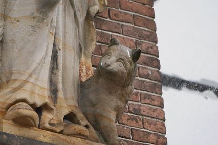 Kat op stadhuis Leeuwarden (1715)