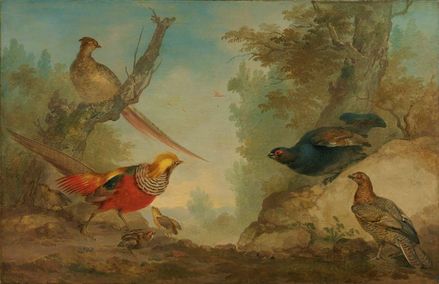 Aart Schouman (1710-1792)