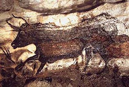 Stier in grotten van Lascaux