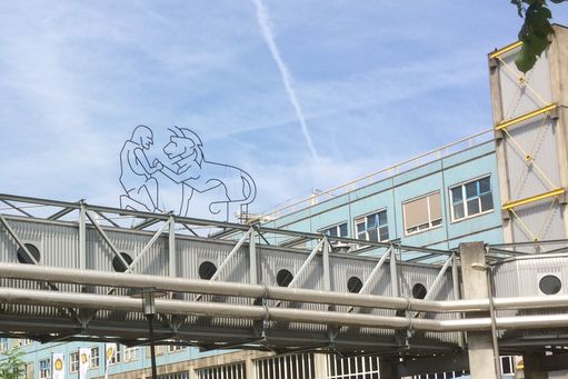 Faculteit Diergeneeskunde