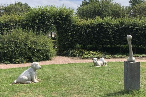 Honden vangen bot (2017)