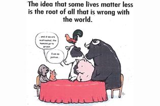 Dieren geven zelf hun mening