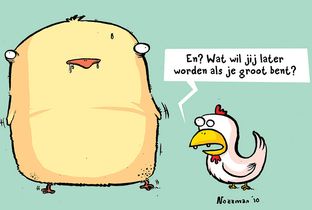 Plofkip