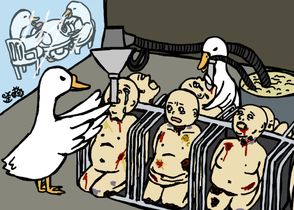 Foie Gras