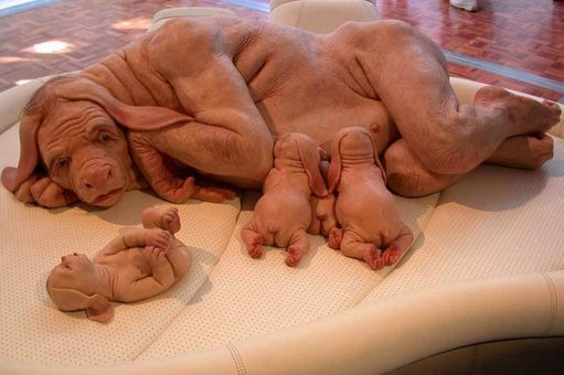 The young familiy (2002)