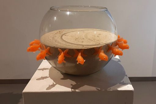 Fishbowl (2023)