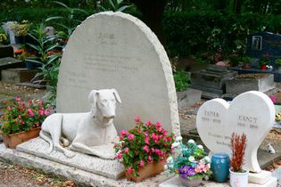 Bebé 1985-2000