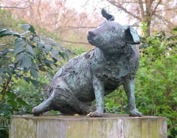 Brown Dog Affair (1985)