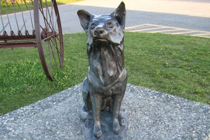 Monument voor Balto 