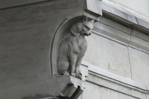07-02 Amsterdam kat