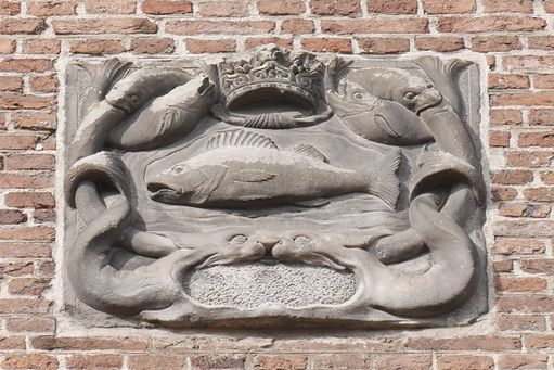 07-05 Gouda Vis