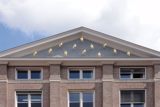 07-06 Groningen  Uilen