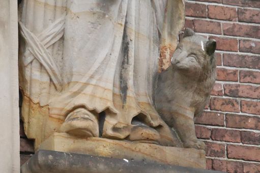 07-07 Leeuwarden kat
