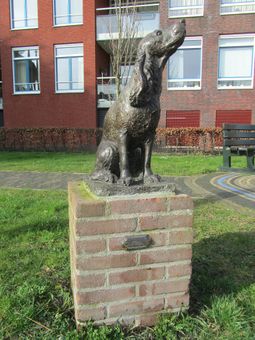 07-09 Nootdorp Hond Flappie