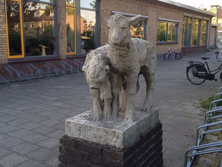 07-09 Nootdorp Lammetjes