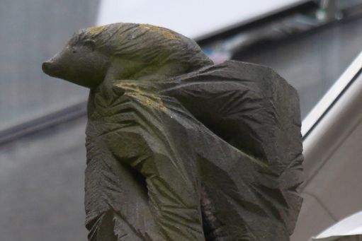 07-10 Rotterdam Egel