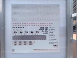 Fototentoonstelling 'Het vergeten dier'