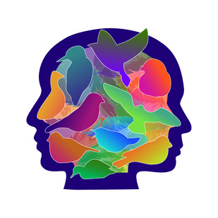 Logo, naam en rechtsvorm