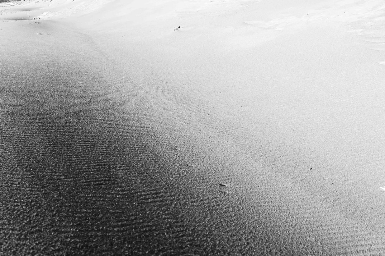 DSC_0031