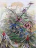 The Wind and the Passion flowers 2018-2022