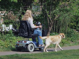 Verplaatsen scoot
