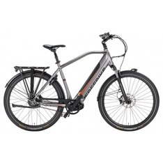 FreeBike Brooklyn Heren Grijs