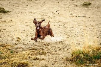 IMG_1403