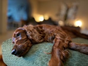 IMG_2771